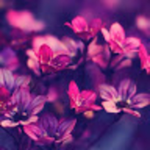 heathershop33